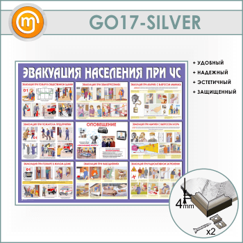     ѻ (GO-17-SILVER)