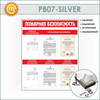     6  (PB-07-SILVER)