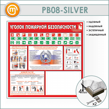       3  (PB-08-SILVER)