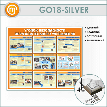      (GO-18-SILVER)