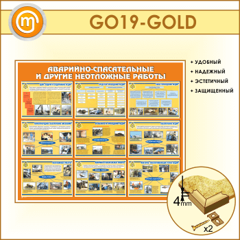  -     (GO-19-GOLD)