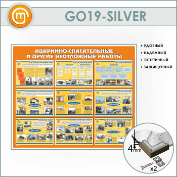  -     (GO-19-SILVER)