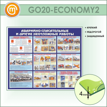  -     (GO-20-ECONOMY2)