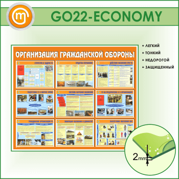     (GO-22-ECONOMY)