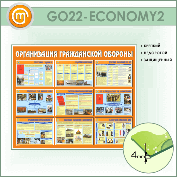     (GO-22-ECONOMY2)