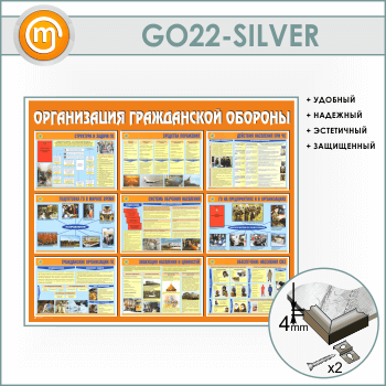     (GO-22-SILVER)