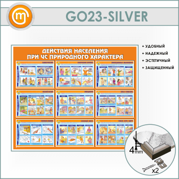        (GO-23-SILVER)