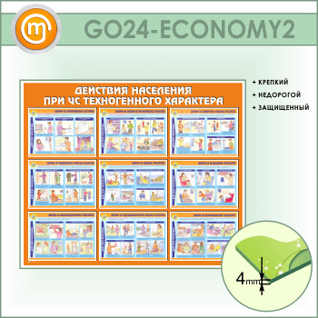        (GO-24-ECONOMY2)