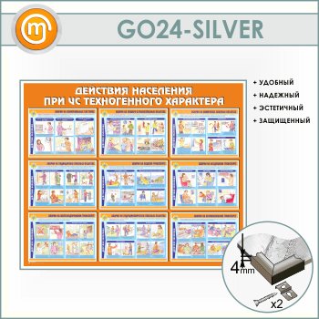        (GO-24-SILVER)