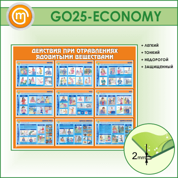       (GO-25-ECONOMY)