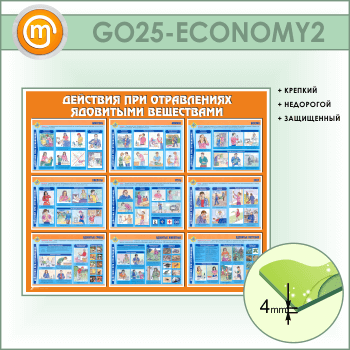       (GO-25-ECONOMY2)