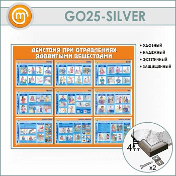       (GO-25-SILVER)