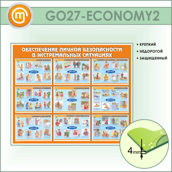        (GO-27-ECONOMY2)