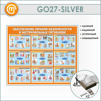        (GO-27-SILVER)