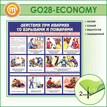         (GO-28-ECONOMY)