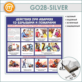         (GO-28-SILVER)