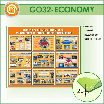          (GO-32-ECONOMY)