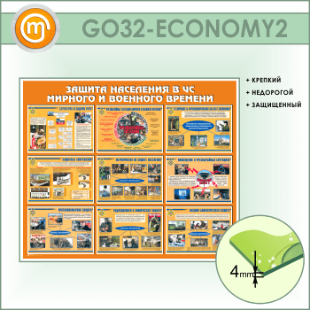          (GO-32-ECONOMY2)