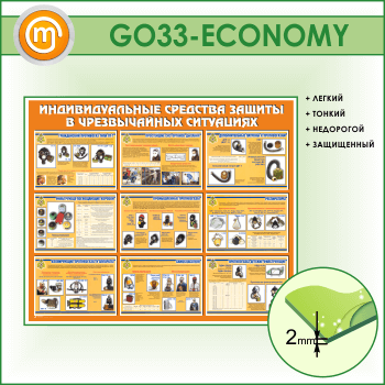        (GO-33-ECONOMY)