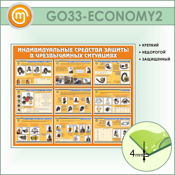        (GO-33-ECONOMY2)