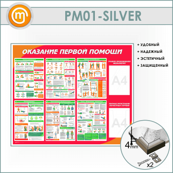          (PM-01-SILVER)