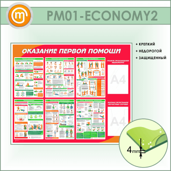          (PM-01-ECONOMY2)