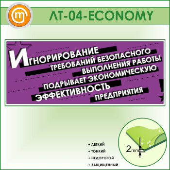     ... (LT-04-ECONOMY)