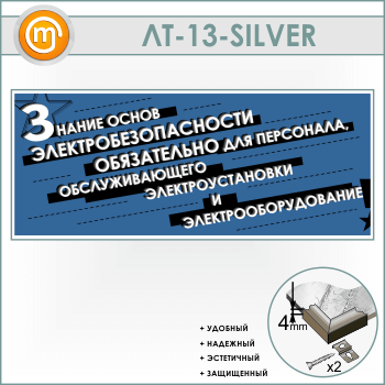     ... (LT-13-SILVER)