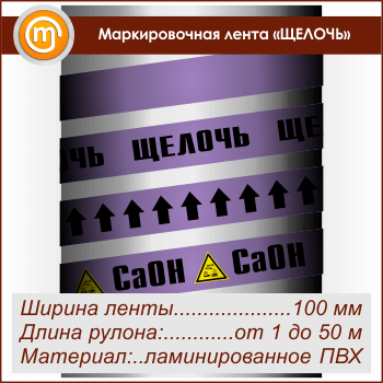   ܻ ( 100 ,  )