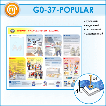       (GO-37-POPULAR)