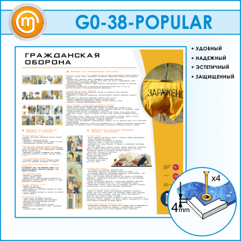    (GO-38-POPULAR)