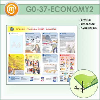       (GO-37-ECONOMY2)