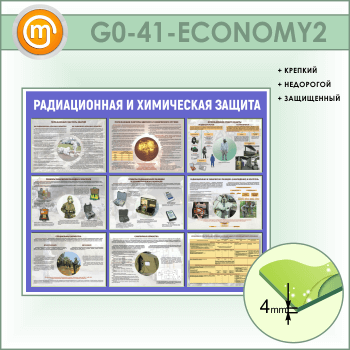      (GO-41-ECONOMY2)