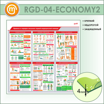         (RGD-04-ECONOMY2)