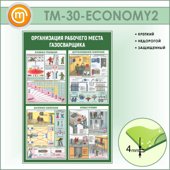      (TM-30-ECONOMY2)