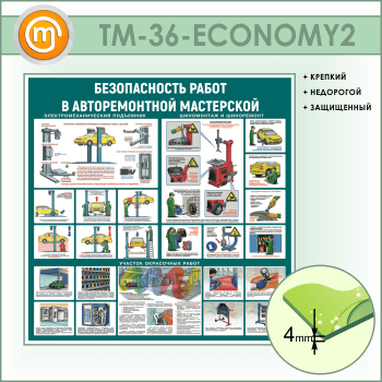       (TM-36-ECONOMY2)