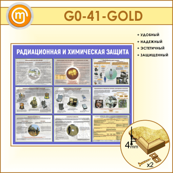      (GO-41-GOLD)