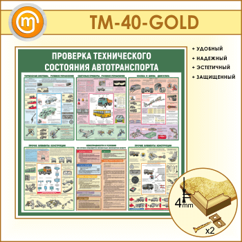      (TM-40-GOLD)