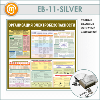    (EB-11-SILVER)