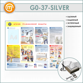       (GO-37-SILVER)