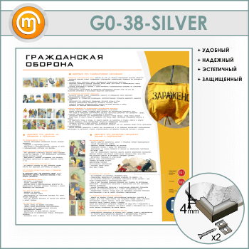    (GO-38-SILVER)