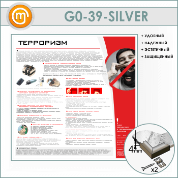   (GO-39-SILVER)