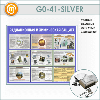      (GO-41-SILVER)