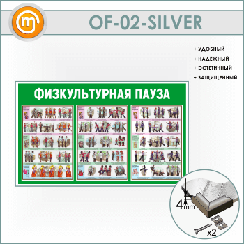    (OF-02-SILVER)