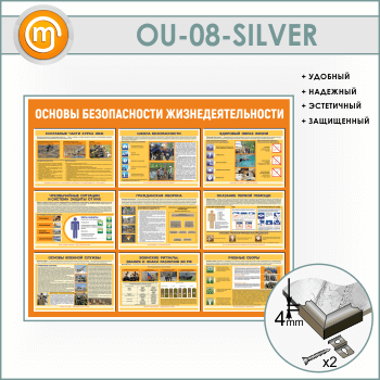     (OU-08-SILVER)