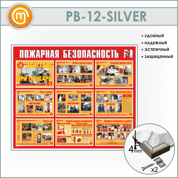   .    (PB-12-SILVER)