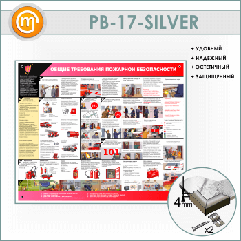      (PB-17-SILVER)