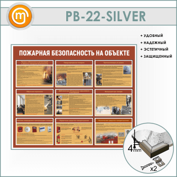      (PB-22-SILVER)