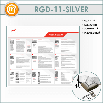   (RGD-11-SILVER)