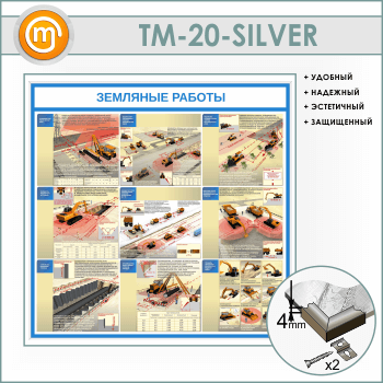    (TM-20-SILVER)